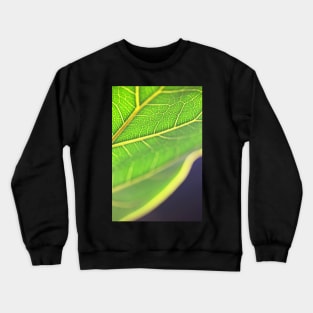 Clever Crewneck Sweatshirt